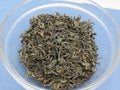 Loose green gunpowder tea Royalty Free Stock Photo