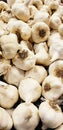 Loose heads of bulk raw garlic in a pile Royalty Free Stock Photo