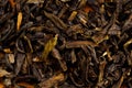 Rolled loose leaf tea close up Royalty Free Stock Photo
