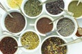 Loose leaf tea varieties Royalty Free Stock Photo