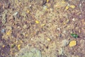 Loose rough dry clay mud with pebbles. Natural texture of dry brown dirty soil Royalty Free Stock Photo