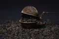 Loose tea on a black background. Loose tea in an old brewing sieve. Royalty Free Stock Photo