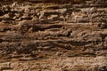 Loose texture of rotten wood