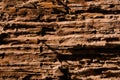 Loose texture of rotten wood