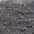 Loosened soil and fallen leaves in autumn Royalty Free Stock Photo