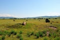 Looted ancient burial place with big stones in hilly steppe under summer cloudy sky Royalty Free Stock Photo