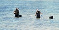 Lopagan, Murcia, Spain, May 20, 2020: Retired volunteer seniors clean the Mar Menor, the Europe's biggest salt water lagoon