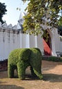 Lopburi, Thailand: Elephant Topiary and Palace Walls