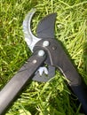 Lopper, pruner, cutting garden tool,