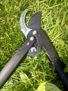 Lopper, pruner, cutting garden tool,