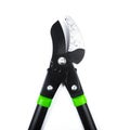Lopper for pruning branches on trees gardening tools on white background