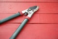 Lopper Pruning tool on red wooden table