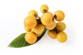 Loquat fruit Royalty Free Stock Photo