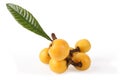 Loquat fruit Royalty Free Stock Photo