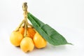 Loquat fruit