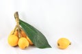 Loquat fruit