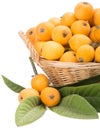 Loquat fruits in the basket Royalty Free Stock Photo