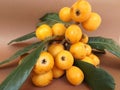 Loquat fruits Royalty Free Stock Photo