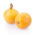 Loquat