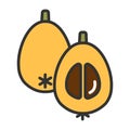 Loquat or Japanese medlar. Colorful fruit icon, outline. Flat style vector illustration with editable stroke. Half and
