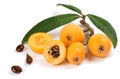 Loquat L. Eriobotrya japonica, clse up. Royalty Free Stock Photo