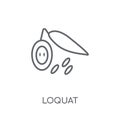 Loquat linear icon. Modern outline Loquat logo concept on white