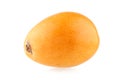 Loquat Royalty Free Stock Photo