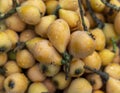 Loquat ripen fresh fruit closeup