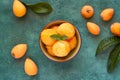 Loquat sorbet, ice cream with fresh fruits in bowl. Top view