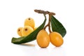 Loquats Royalty Free Stock Photo