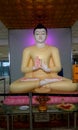 Lord buddha statue with sandal color in an airport srilanka