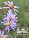 The Lord is my strength and my song. Royalty Free Stock Photo