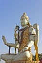 Lord Shiva Nageshwar