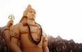 Lord Shiva's Deity