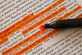 Lorem Ipsum text some lines are highlighted with orange marker stripes, selective focus, document preparation