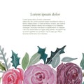 Lorem Ipsum watercolor pink rose banner art design stock vector illustration Royalty Free Stock Photo