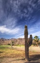 Loreto Bay, Baja California Sur, Mexico Royalty Free Stock Photo