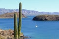 Cactus and mountains in the Loreto bays in the sea of baja california, mexico V Royalty Free Stock Photo