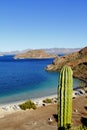 Saguaro and People camping in the Loreto bays in the sea of baja california, mexico XIII Royalty Free Stock Photo