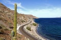 Saguaro and Road beside the Loreto bays in the sea of baja california, mexico Royalty Free Stock Photo