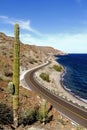 Saguaro and Road beside the Loreto bays in the sea of baja california, mexico II Royalty Free Stock Photo