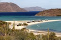 Saguaros in Loreto bays in the sea of baja california XXI