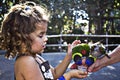 Lorikeet feeding