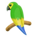 Lory parrot icon, cartoon style