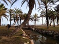 Oasis los alamos beach-Torremolinos