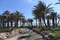 Los Alamos beach-Torremolinos- Andalusia-Spain