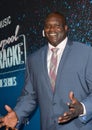 Shaquille O'Neal Royalty Free Stock Photo