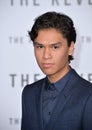 Forrest Goodluck Royalty Free Stock Photo