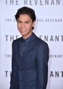 Forrest Goodluck Royalty Free Stock Photo