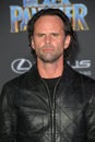 Walton Goggins